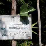 Perch� il leit motiv del parco � l�Antica Grecia: ogni viale ha un nome ispirato a un filosofo o poeta con tanto di aforisma